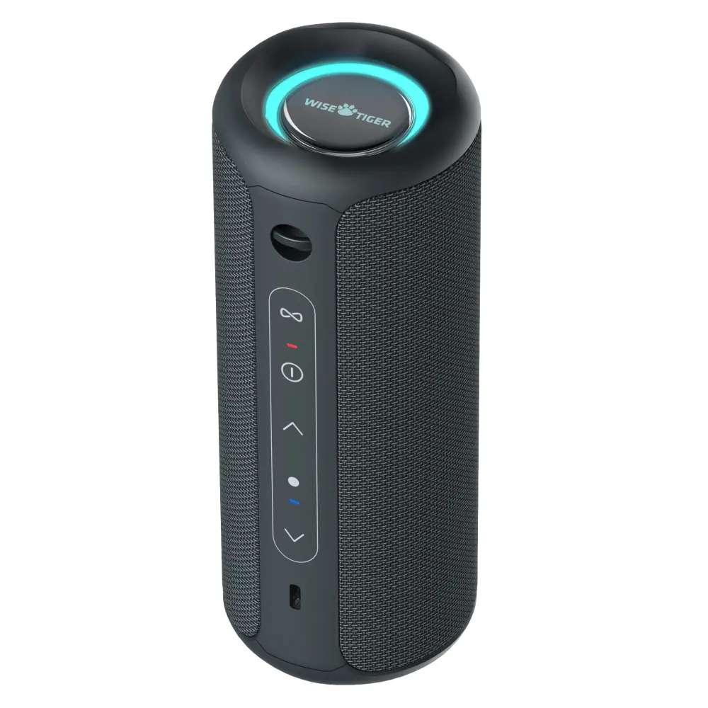 Altavoz Bluetooth personalizable portátil 30W IPX7 resistente al agua caja de sonido potente Bass Boost doble emparejamiento estéreo inalámbrico al aire libre