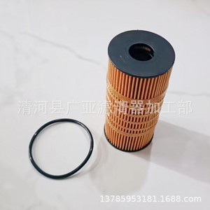 ไส้กรองน้ำมันเครื่องสำหรับรถกระบะดีเซล Rich 6 M9T 2.3T หมายเลขอะไหล่ 152082zg6d - Product Image 4