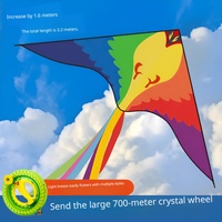 Cerf-volant arc-en-ciel personnalisé de 3,2 m à longue queue, facile à piloter dans une brise légère, cerf-volant triangulaire pour enfants et adultes, OEM ODM Vente en gros