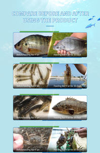 Aditivo alimenticio para productos de salud Animal, proteína de pescado, camarón, cangrejo, mariscos, protege la función de riñón - Product Image 2
