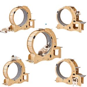 Moderna y Lujosa Estación de Juego 5 en 1 <span class=keywords><strong>para</strong></span> <span class=keywords><strong>Gatos</strong></span>: Rueda de Ejercicio, Escalera, Rascador, Comedero y Juguete - Product Image 1