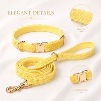 Ensemble collier et laisse pour chien en dentelle festonnée, collier pour animaux de compagnie doux et réglable, style princesse, pour chats et petits chiens Ming Jia
