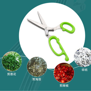 กรรไกรครัวสแตนเลส 5 นิ้ว สีเขียวอ่อนอเนกประสงค์ สำหรับผัก สาหร่าย เครื่องเทศ และตัดกระดาษ - Product Image 1