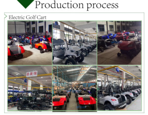 Carritos de Golf Eléctricos de 6 Plazas, Carritos Eléctricos para Entretenimiento y Ocio, Carrito de Golf Eléctrico para Turismo - Product Image 4