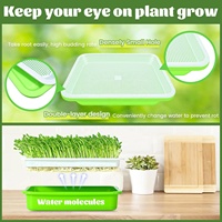 Supports de culture portables jetables personnalisables pour l'agriculture verticale intérieure, bacs à semis en plastique pour le jardin et l'agriculture