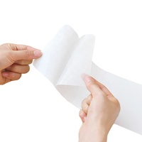 Bandes transparentes antidérapantes, 2 m, bande de sécurité, pre-découpées, pour escaliers, PEVA