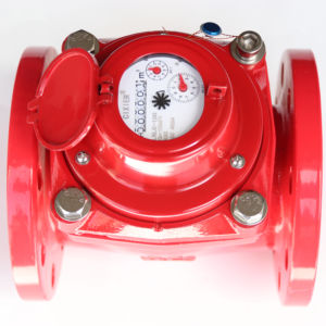 Промышленный чугунный R80-100 с большим холодным фланцем, 40-300 - Product Image 1