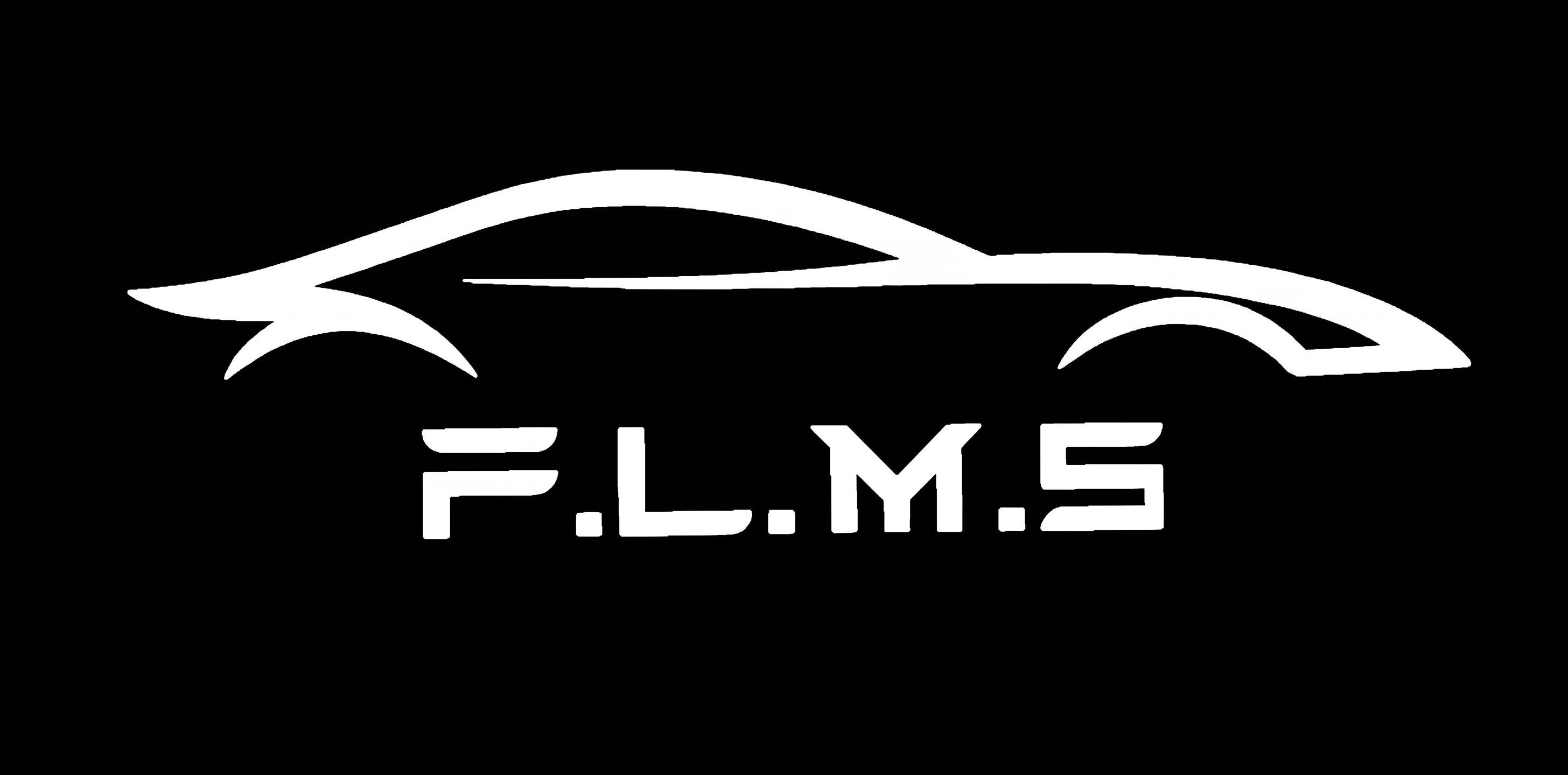 Dongguan Falamais Technology Co., Ltd. logo