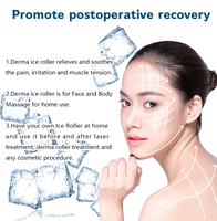 Ce rouleau de glace Dermaroller médical approuvé Logo personnalisé Système de refroidissement de la peau du corps Blanchiment du visage Anti-rides ZA Cernes