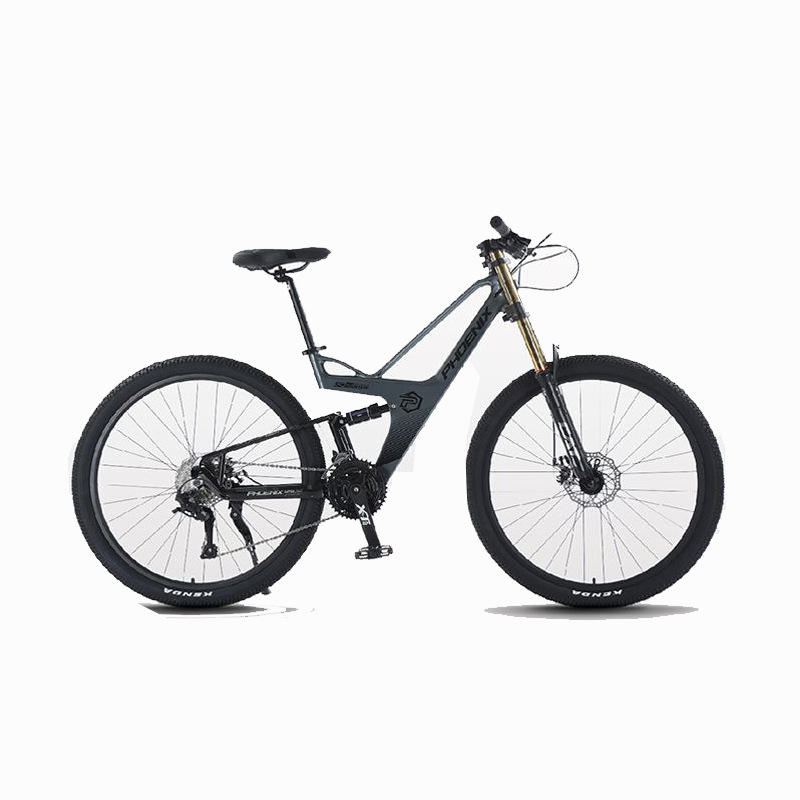 Phoenix Bicycle Price High Quality Reliable Options