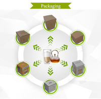 Tasse en verre borosilicate résistant à la chaleur, écologique, sans BPA, pour la maison, les fêtes, l'extérieur et les cadeaux