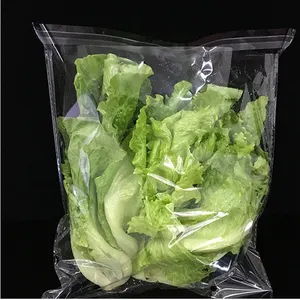 Custom size Transparent bopp anti fog packaging pouch fruit vegetable bag