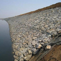 100*120mm boîte hexagonale de Gabion fournisseur de treillis métallique tissé grandes boîtes de Gabion de maille pour murs de soutènement remplis de roche