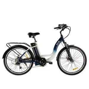 20 "36Vbattery 전원 자전거 판매/전기 변환 키트 자전거/초침 전기 자전거