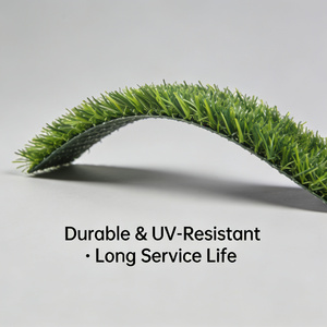 <span class=keywords><strong>Gazon</strong></span> synthétique monofilament de qualité supérieure, directement de l'usine, excellent drainage, <span class=keywords><strong>gazon</strong></span> artificiel pour stade de football - Product Image 5