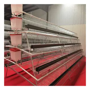 2024 Poultry farm used a type ladder laying hen chicken cages with egg collection system/machine