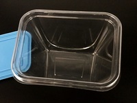 Boîte à bonbons en plastique transparente en PVC personnalisée avec compartiment vide et couvercle, boîte d'emballage jetable pour animaux de compagnie, pour usage alimentaire