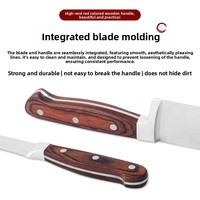 Hoogwaardig gekleurd houten handvat 3Cr13 roestvrijstalen keukenmessenset bakvork brood Santoku utility schilmes fruitmes