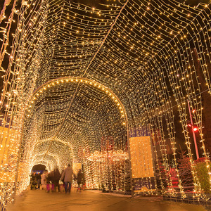 DIY <span class=keywords><strong>LED</strong></span> Lumières de Noël 8 <span class=keywords><strong>Tube</strong></span> Icicle Falling Rain String Cascading <span class=keywords><strong>LED</strong></span> Meteor Shower Light For Holiday Wedding Party - Product Image 1