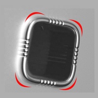 Échelle en aluminium portable pour chat, robuste, murale, longue, pour la construction, le toit