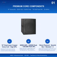 Subwoofer passif mono professionnel de 18 pouces, puissance 600W, 8 ohms, bobine vocale en cuivre NL4, bass reflex, 32Hz-400Hz, système de sonorisation pour spectacles en direct