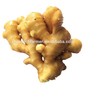 China <span class=keywords><strong>madura</strong></span> gordo jengibre precio por tonelada - Product Image 2