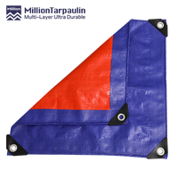 Bâches en polyéthylène PE vierge à 100 %, imperméables, anti-UV et coupe-vent, prix usine, pour le séchage des céréales en extérieur