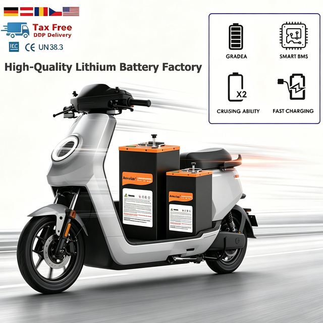 X-Power LiFePO4 Lithium Battery Pack 24V/36V/48V/72V/80V/96V 50-400Ah BMS 1000W Ebike Scooter Motorbike AGV 6000 Cycles CE