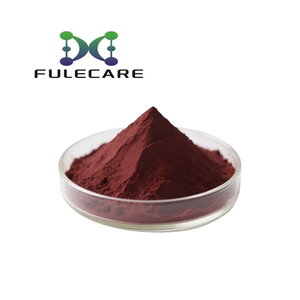 Extrato de Casca de Pinheiro OPC Pó de Procianidina: 95% Puro, Orgânico para Suplementos de Saúde - Product Image 2