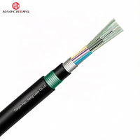 Câble à fibre optique GYTA53 résistant aux rats et étanche, pour extérieur, enterré, 24/48/96 cœurs, gaine PE, monomode G652D, double