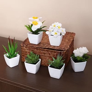 <span class=keywords><strong>Mini</strong></span> Ornements Artificiels en Plastique Vert Succulent Maison Bureau Comptoir Plante Bonsaï 6 pcs/set Décor - Product Image 5