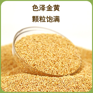 Millet décortiqué pour oiseaux 1,0 kg pour perruches et agapornis Alimentation pour animaux de compagnie - Product Image 2