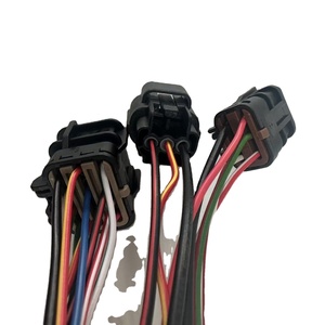 ชุดสายไฟเชื่อมต่อ Tyco DT04-2P DT04-4P ควบคุมแบบกำหนดเอง - Product Image 3