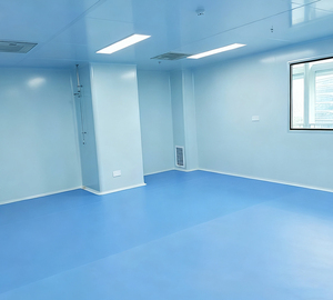 Cuarto Limpio para la Industria Electrónica, Estándar ISO 8 GMP, Prefabricado Modular con Panel Metálico y <span class=keywords><strong>Servicios</strong></span> Llave en Mano - Product Image 2