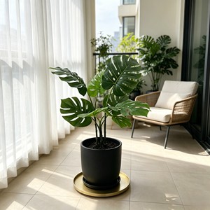 Follaje ornamental con patrón de caparazón de tortuga preservado, con tonos marrones y veteados, para decoración de terrarios exóticos, 80 cm. - Product Image 3