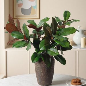 Hojas de Magnolia Artificiales Meng Jie de 30cm-100cm, Flores para Jarrones, Decoración del Hogar, Accesorios para Bodas - Product Image 1