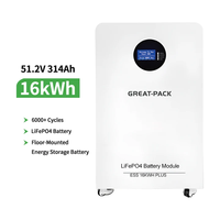 Excellent pack de batteries au lithium 51.2V 314Ah 16kWh avec cellules A Grade, nouvelle batterie mobile pour système solaire domestique