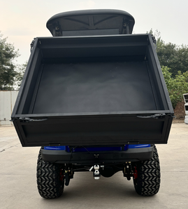 WELIFTRICH Carro de Golf Todoterreno de 2 Plazas con Batería de Litio y Plataforma Abatible - Product Image 3