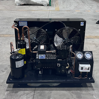Unité de condensation haute performance 3HP refroidie par air avec moteur pour entrepôt frigorifique de fruits et chambre froide