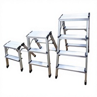 Échelle à marches légère en aluminium, 2 marches larges et antidérapantes, la plus populaire, capacité 330 lbs, conforme EN 131, pour escalier, pique-nique, camping, pêche
