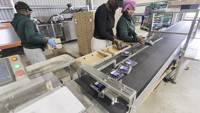 Machines d'emballage de haute précision, peseuse multi-têtes pour machine d'emballage de boîtes de myrtilles