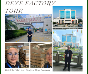 Stock d'entrepôt européen Sun-12K-Sg02LP1-Eu-AM3 <span class=keywords><strong>Deye</strong></span> Sun-12K 12 <span class=keywords><strong>Kw</strong></span> 1 monophasé <span class=keywords><strong>Deye</strong></span> 12Kw Onduleur solaire hybride - Product Image 5