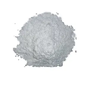 white diatomaceous earth for paint and coating