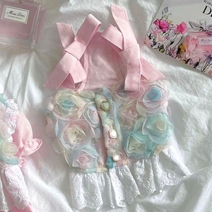 Robe élégante et confortable pour chien, jupe de princesse pour chiot, idéale pour <span class=keywords><strong>les</strong></span> fêtes d'anniversaire, la photographie, <span class=keywords><strong>les</strong></span> vacances et <span class=keywords><strong>les</strong></span> <span class=keywords><strong>promenades</strong></span> en extérieur - Product Image 2