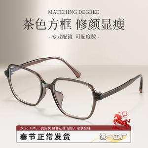 Monturas de Gafas Cuadradas Danyang B8816 para Mujer, Montura Completa, Lentes de PC Cómodas, Estilo Coreano, Color Marrón - Product Image 5