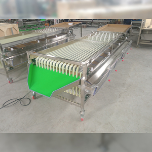 Máquina automática de clasificación de frutas y verduras de melocotón de oliva - Product Image 3