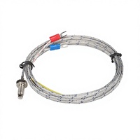 Sensor de Temperatura Tipo Tornillo M6, Termopar Métrico Tipo K/E, Termorresistor PT100, Sonda de Detección de Temperatura Insertable