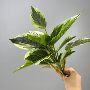 Lifelike Faux Greenery Evergreen <span class=keywords><strong>Calathea</strong></span> Dracaena Plantas Falso Palmeira 14 Folha Artificial Plantas Em Vaso para Decoração Home - Product Image 2