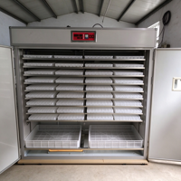 Incubateur Commercial Automatique pour 5000-50000 Œufs de Poule, Équipement d'Éclosion Avicole