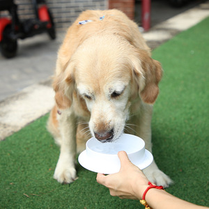 Kean Pet – ensemble de bols à alimentation lente, double usage, pour boire et manger, pour chiens, chats, Teddy, bouledogue français - Product Image 2